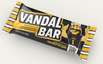 Wrapped Vandal Bar