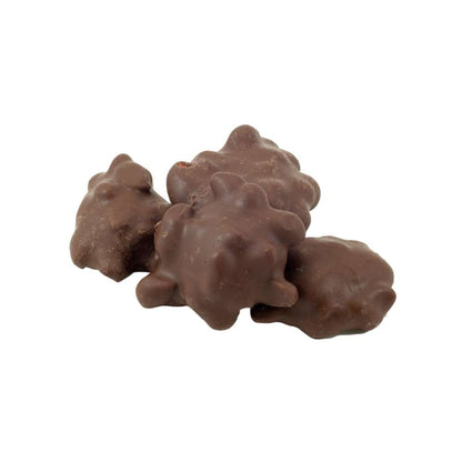 Chocolate Caramel Peanut Clusters - Tub - 17oz